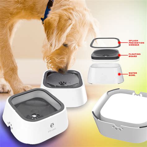 best spill proof dog water bowl